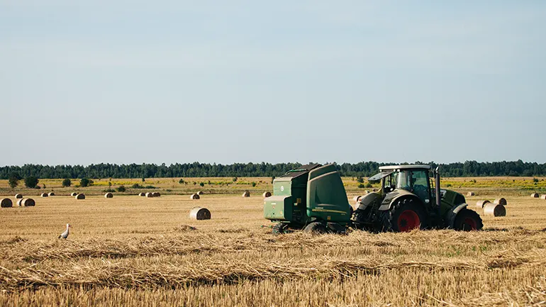 Галекс-Агро заготівля сінажу 2025