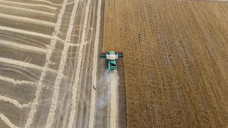 жнива 2025 Галекс-Агро